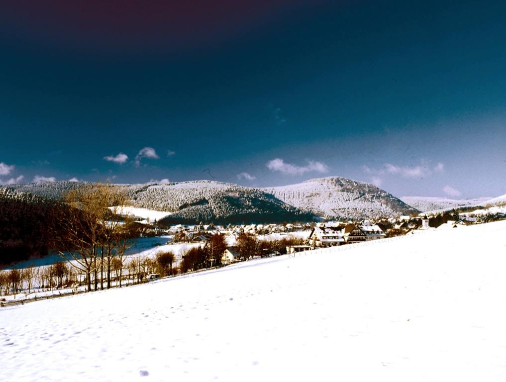 Heidehotel Hildfeld Winterberg Exteriör bild
