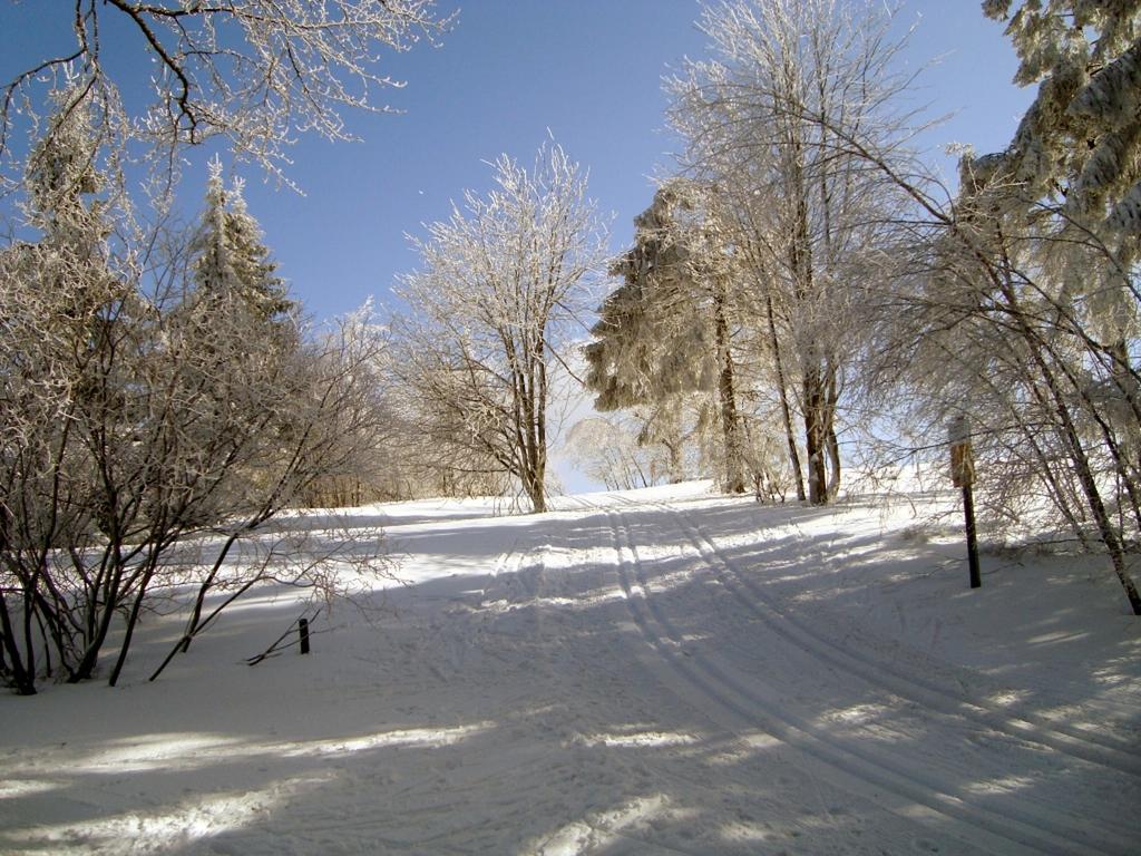 Heidehotel Hildfeld Winterberg Exteriör bild