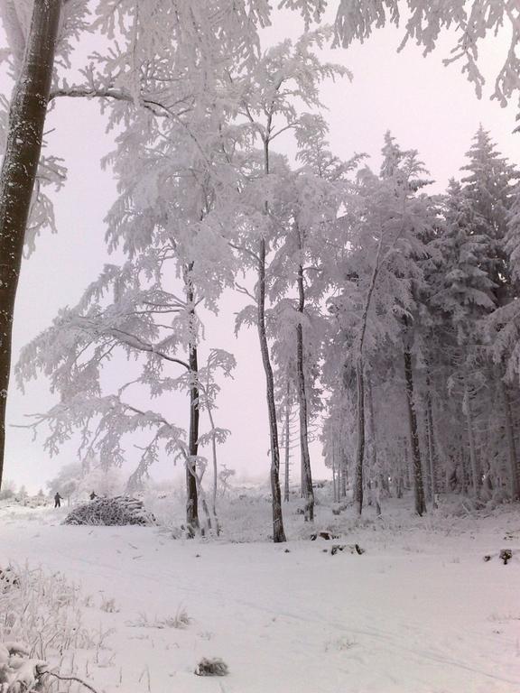 Heidehotel Hildfeld Winterberg Exteriör bild